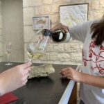 Visite et Dégustation Chablis Clotilde Davenne en français - What to Expect from This Tour