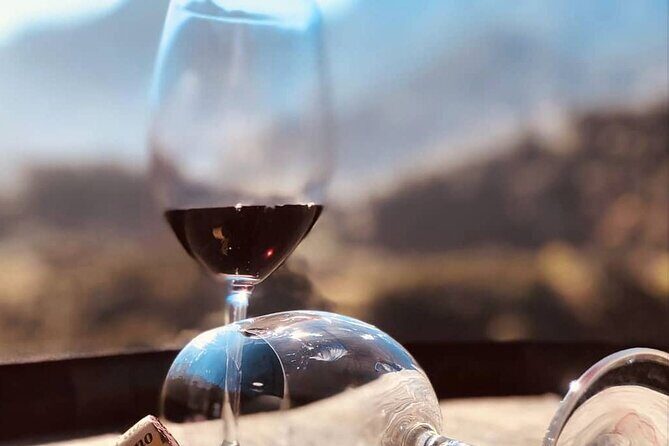 Visiting local Vineyard With Wine Tasting & Lunch included - What Makes This Tour Stand Out?