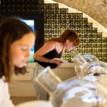 Visitor trail of the Cité in Chablis - What’s not included and what to consider