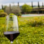 Viticcio tasting experience - Final Thoughts