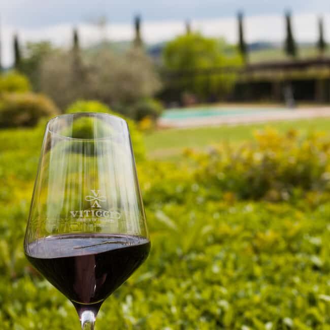 Viticcio tasting experience - Final Thoughts