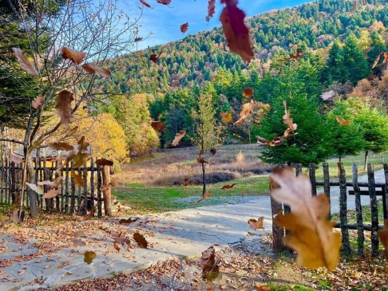 Vjosa Valley Rafting & Hiking Tour  3 Days All Inclusive - Why This Tour Stands Out