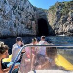Vlore Speedboat Tour to Haxhi Ali Cave - Why This Tour Might Be Perfect for You