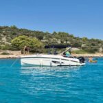 Vodice: Dolphin Watching Boat Tour in ibenik Archipelago - What Makes This Tour Stand Out?