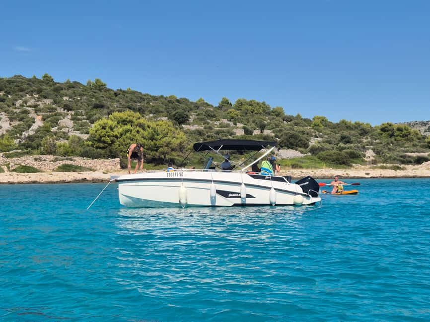 Vodice: Dolphin Watching Boat Tour in ibenik Archipelago - What Makes This Tour Stand Out?
