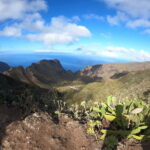 Volcanes, Viñedos y Laurisilva  Santiago del Teide - What’s Included and What’s Not