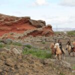 Volcanic Landscape Iceland Horse Riding Tours - Is It Worth the Price?