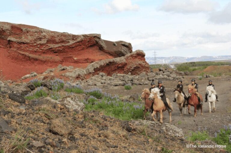 Volcanic Landscape Iceland Horse Riding Tours - Is It Worth the Price?