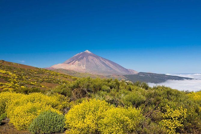 Volcano & Mt Teide Private Tour in Tenerife - FAQ: Your Questions About the Volcano & Mt Teide Private Tour