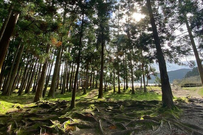 Volcano of Fogo and Furnas Private Tour - What Could Be Better?