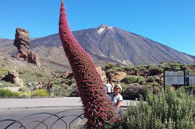 Volcano Teide - Masca ravine. Guided Tour from Puerto de la Cruz - Tenerife - Who Is This Tour Best For?