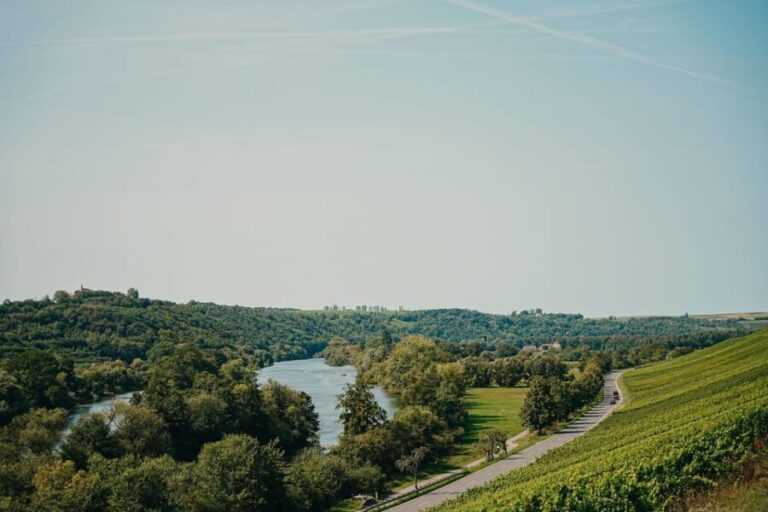 Volkach/Fahr: Wine Spirit Rebellion wine hike - What to Expect During the Tour