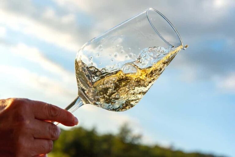 Volterra: Winery Tour with Tastings and Panoramic Views - The Guided Tour: Unpacking the Wine-Making Process