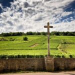 Vosne-Romanée: Private Vineyards Walking Tour with Tasting - Key Points