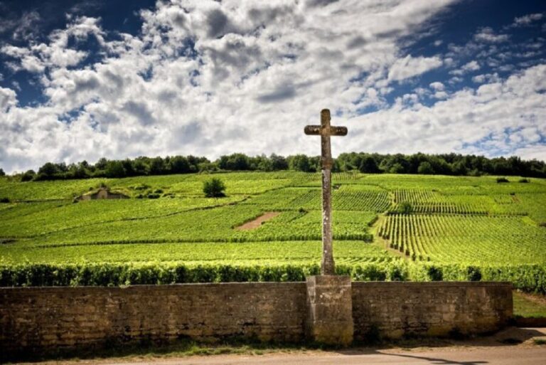 Vosne-Romanée: Private Vineyards Walking Tour with Tasting - Key Points