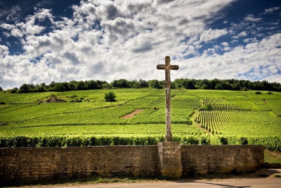 Vosne-Romanée: Private Vineyards Walking Tour with Tasting - Key Points