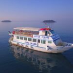 Vrsar: Dolphin Watching Boat Tour including Drinks - Dolphin Encounter: How Often and What to Expect