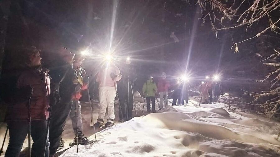 Vuokatti: Northern Lights Snowshoeing Adventure - The Detailed Itinerary