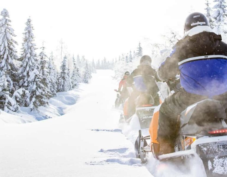 Vuokatti: Snowmobile Safari with Snacks and Hot Drinks - Why We Think This Tour Works