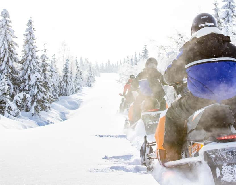 Vuokatti: Snowmobile Safari with Snacks and Hot Drinks - Why We Think This Tour Works