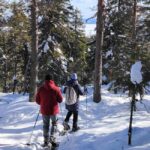 Vuokatti: Snowshoeing Adventure in the Forest - The Itinerary Breakdown