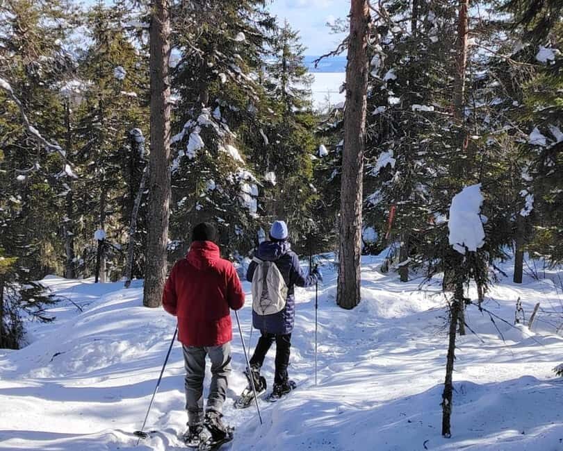 Vuokatti: Snowshoeing Adventure in the Forest - The Itinerary Breakdown