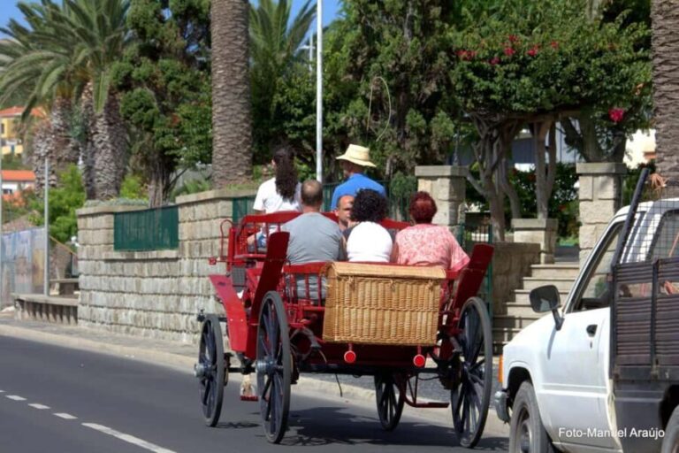Wagon Ride Through Porto Santo - The Practicalities