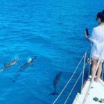 Waikiki small group turtle snorkeling & sailing - The Itinerary in Detail