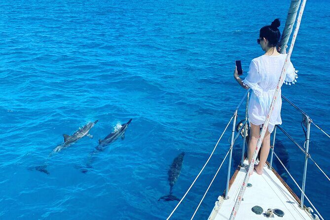 Waikiki small group turtle snorkeling & sailing - The Itinerary in Detail