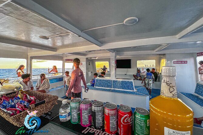 Waikiki Sunset Cruise from Oahu - Marine Life & Underwater Viewing