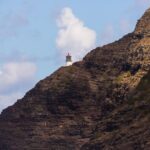 Waikiki Trolley Hop-On Hop-Off Tour of Honolulu - Practical Tips for Making the Most of This Tour