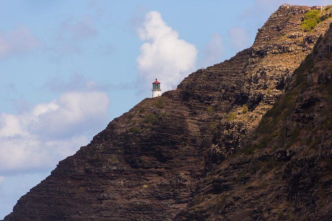 Waikiki Trolley Hop-On Hop-Off Tour of Honolulu - Practical Tips for Making the Most of This Tour