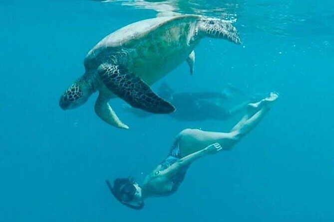Waikiki Turtle Snorkel & Sail combo on Hawea Catamaran - Who Will Love This Tour?