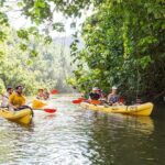Wailua River Paddle - The Bottom Line