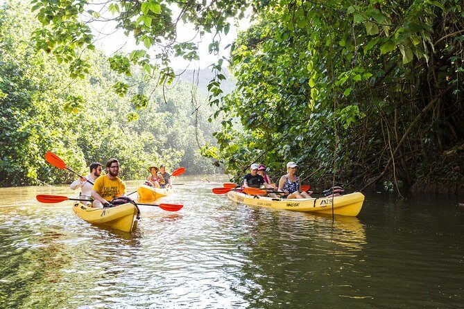 Wailua River Paddle - The Bottom Line