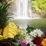 Wailua River & Waterfalls Kayak Tour: Expert-Guided Adventure - Who Will Love This Tour?
