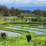 Waipio on Horseback: Mountain Ocean Views Working Cattle Ranch - An In-Depth Look at the Waipio Horseback Tour