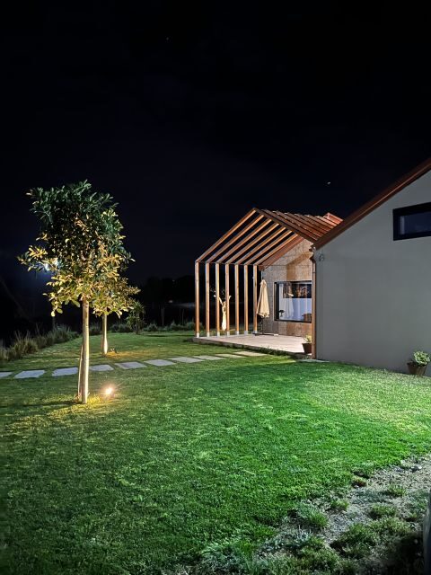 Walk among the rows of vineyards and wine tasting - The Itinerary Breakdown