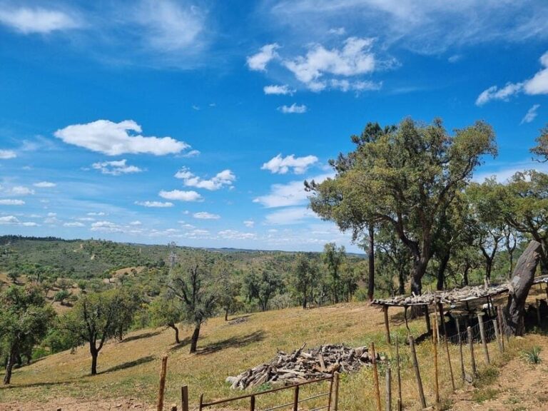 Walk through Hills With a Local Goat Herder and Their Goats - The Value and Practicalities