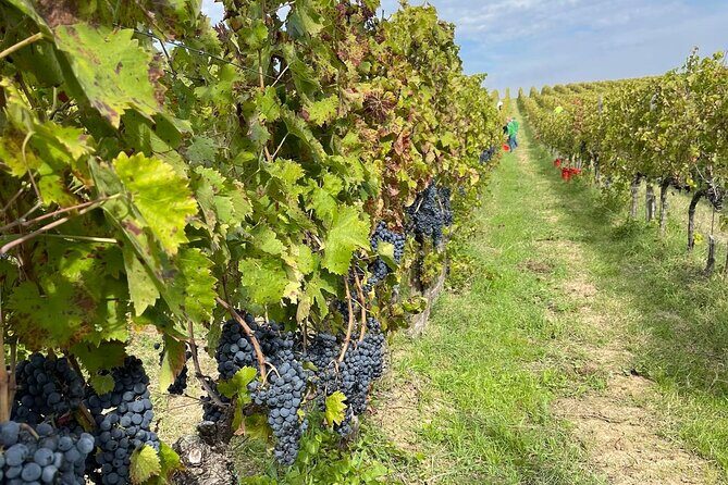 Walk through Spoletos historic center & lunch with Chef Stefano - Practical Details and Tips