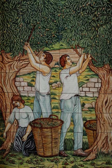 Walk through the vineyard and tasting - Why this tour stands out