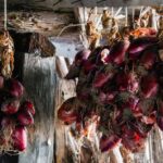 Walking Food Tour of Tropea - Exploring Tropea Through Food and History