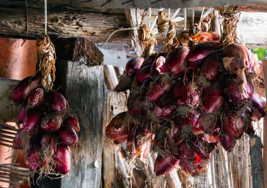 Walking Food Tour of Tropea - Exploring Tropea Through Food and History