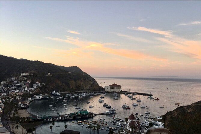 Walking History Tour on Catalina Island - The Experience: What You’ll Love and What to Keep in Mind