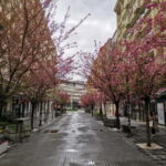 Walking in Skopje - Who Would Love This Tour?