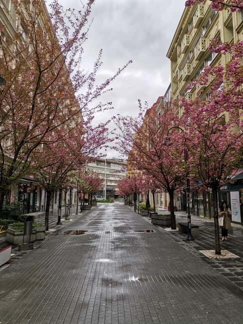 Walking in Skopje - Who Would Love This Tour?