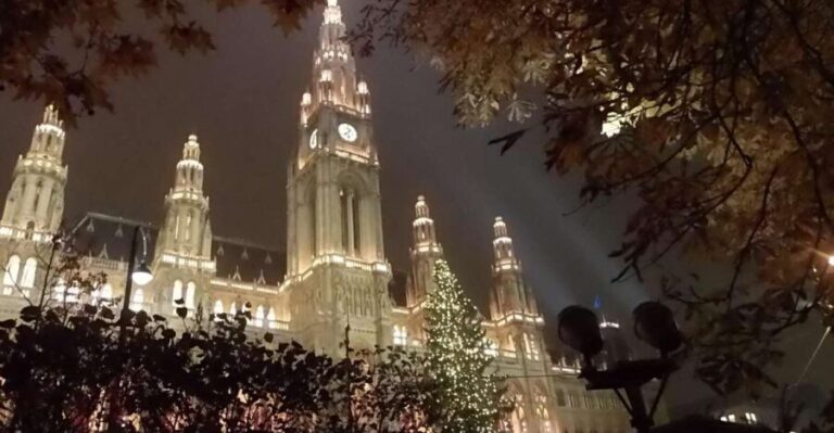 Walking on the historical trail of Viennese Christmas Trees - What You Can Expect from the Tour