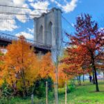 Walking tour in Manhattan Brooklyn Bridge and Waterfront - What to Expect on the Tour