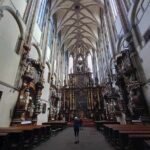 Walking Tour in Prague with Local Historian - What Youll Experience