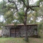 Walking Tour Quadrassal - Romeu - The Bottom Line: Is This Tour Worth It?